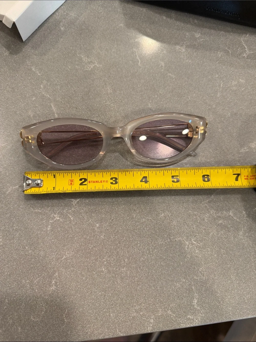 GENTLE MONSTER Clear Frame Sunglasses with Brown Lenses and Black Case